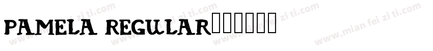 Pamela Regular字体转换